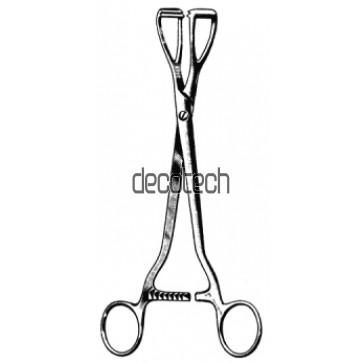 Young Lobe Holding Forceps 20cm