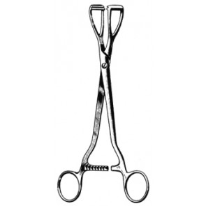 Young Lobe Holding Forceps 20cm