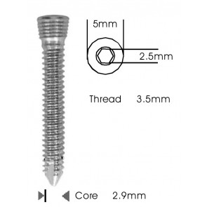 Safety Lock (LCP) Screw 3.5mm - Self Tapping
