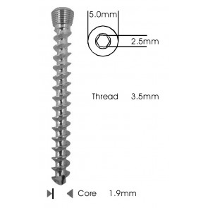Cancellous Safety Lock (LCP) Screw 3.5mm Self Tapping
