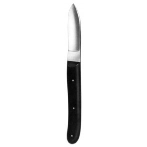 Hopkins cuchillo de yeso con mango de plástico de 20 cm 