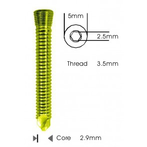 Safety Lock (LCP) Screw 3.5mm Self Tapping & Self Drilling Titanium