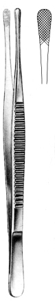 Wangensteen Dressing Forceps 23cm