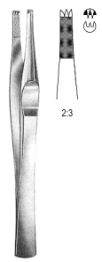 Lanes Tissue Forceps 2x3T