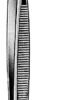 Taylor Tissue Forceps Straight 1x2T w/chisel end 17cm