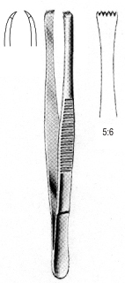 Lerche Tissue Forceps 5x6T 15cm