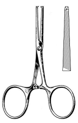 Terrier Hemostatic Forceps 1x2T 8.5cm
