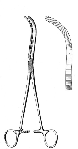 Mayo Kidney Pedicle Clamp 23cm