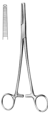 Phaneuf Peritoneum Forceps 21cm