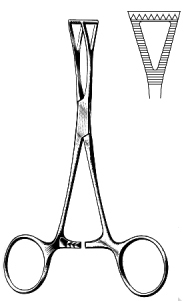 Collin Tissue Forceps triangular 14cm