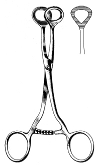 Collin Tumor Seizing Forceps semi round 16cm