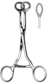 Collin Tumor Seizing Forceps Oval 16cm