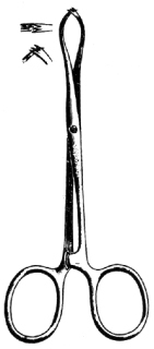 Porrier Tissue Forceps 2x3T