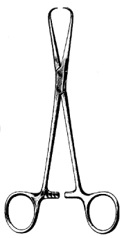 Bernhard Towel Forceps 16cm