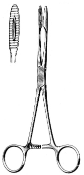 Gross Maier Dressing Forceps