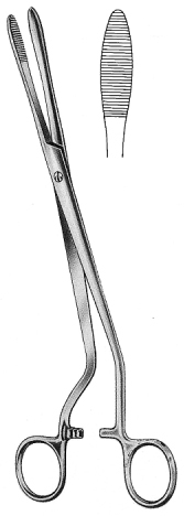 Cheron Dressing Forceps S/J 25cm