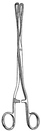 Rampley Sponge Holding Forceps S/J