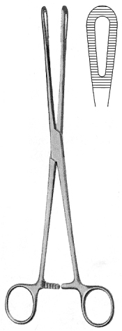 Rampley Sponge Holding Forceps