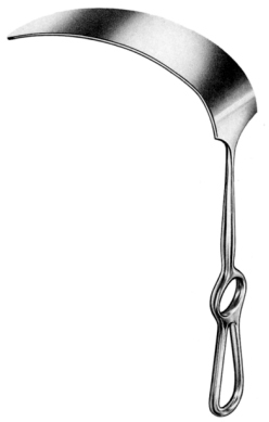 Kelly Retractor 26cm