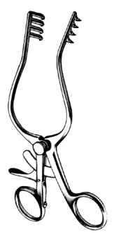 Mollison Mastoid Retractor Sharp 	4x4 Prongs 	16.5cm