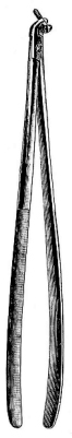 Lane Bone Screws Holding Forceps 23cm