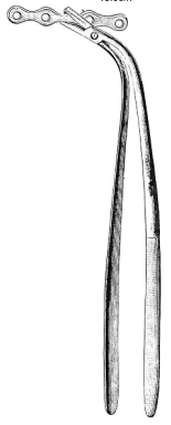 Lane Bone Plate Holding Forceps 22cm
