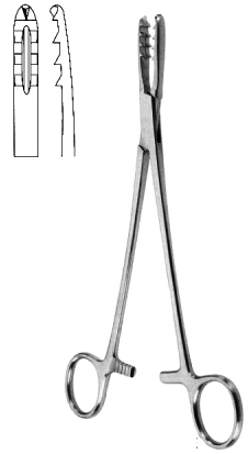 Bircher Ganske Bone Holding Forcpes 20cm