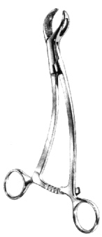 Burns Bone Holding Forcpes 18.5cm