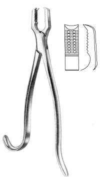 Kern Bone Holding Forcpes