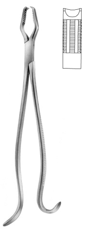 Lane Bone Holding Forcpes