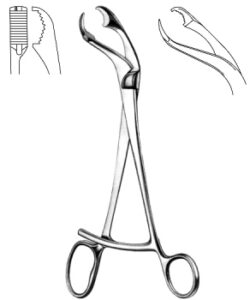 VERBRUGGE Bone Holding Forcpes