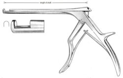 Colclough Punch 20cm