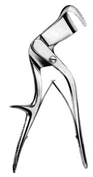 Lebsche Rib Shear 25cm