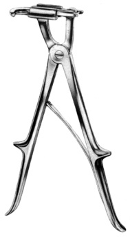 Sauerbruch Rib Shear Adult 26cm