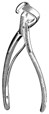 Doyen Rib Shear 19cm