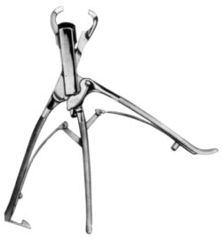 Tudor Edward / Vehmehren Rib Holder and Costotome 23cm