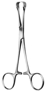 Lahey Goitre Seizing Forceps 3x3T