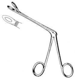 Tilley Henckle punch Forceps 5.5mm, 20cm