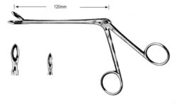 Weil-Blakesley Forceps with neck 120mm, 19cm