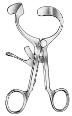 Molt Doyen Jansen Mouth Gag 11cm