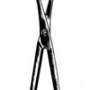 Loebker Tongue holding Forceps 15.5cm
