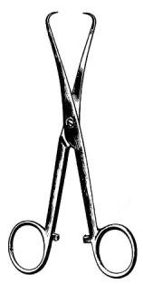 Loebker Tongue holding Forceps 15.5cm