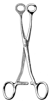 Collin Tongue Holding Forceps