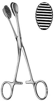 Young Tongue Holding Forceps 17cm