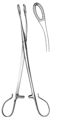 Blohmke Tonsil Seizing Forceps 20cm