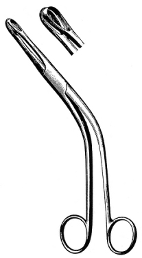 Denis Brown Tonsil Holding Forceps 18cm