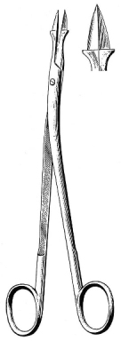 Thilenius Tonsil Abscess Forceps 20cm
