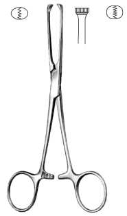 Allis Tissue Forceps