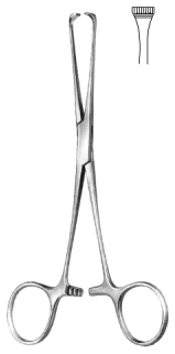 Boys Allis Intestinal Tissue Forceps 15cm
