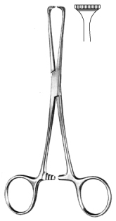 Allis Adair Tissue Forceps 10x11T 15.5cm
